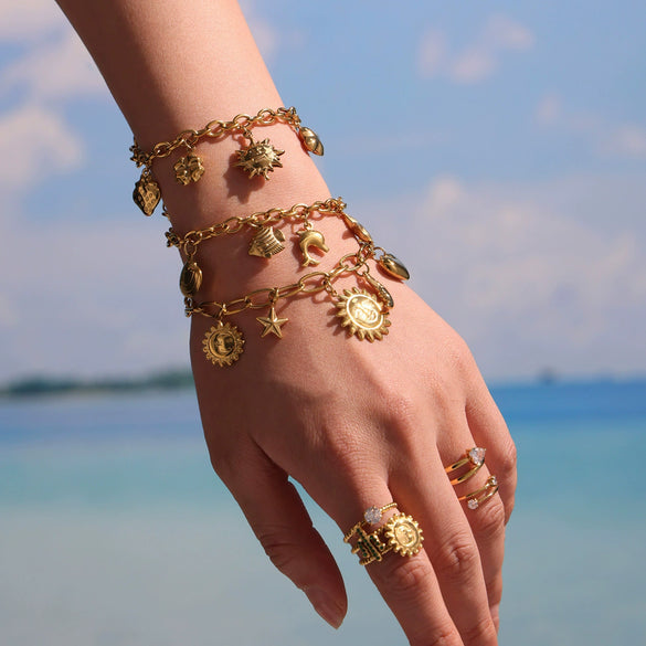 Wholesale Ferris Wheel Strawberry Butterfly Geometric Pendant Bracelet Anklet Stainless Steel Electroplated Women's Jewelry