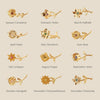 Wholesale Flower Pendant Necklace Copper Gold Plated Decorative Three Dimensional Leaves Design