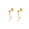 Wholesale French Vintage All Match Natural Freshwater Pearl Earrings For Women Made Of Titanium Steel With Pvdp Furnace Real Gold Treatment Geometric Design