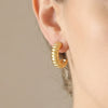 Wholesale Geometric Cshaped Stainless Steel Electroplated Hoop Earrings For Women