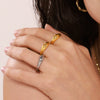 Wholesale Geometric Electroplated Titanium Steel Ferris Wheel Ring Unisex