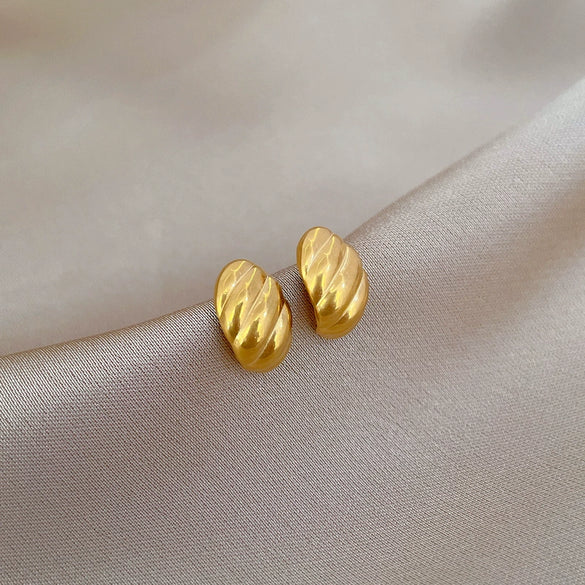 Wholesale Geometric Electroplated Titanium Steel Twisted Eggshaped Minimalist Earrings For Men And Women