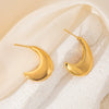 Wholesale Geometric Heart Shape Titanium Steel Electroplated Women's Earrings Highend Luxury Nonfading