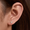 Wholesale Geometric S925 Sterling Silver Zircon Earrings Set With Precious Stones For Women
