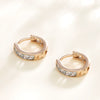 Wholesale Geometric Square Zircon Electroplated Earrings For Women