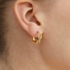 Wholesale Geometric Stainless Steel Electroplated Earrings For Women Light Luxury Style