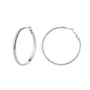 Wholesale Geometric Stainless Steel Electroplated Hoop Earrings For Women