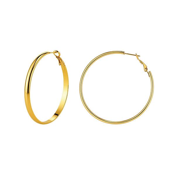 Wholesale Geometric Stainless Steel Electroplated Hoop Earrings For Women