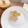 Wholesale Handmade Acetic Acid Hair Grab Clip With Geometric And Flower Style For Women