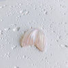 Wholesale Handmade Resin And Plastic Fishtail Stud Earrings With Magic Color Gradient Natural Style And Environmental Protection Treatment