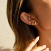 Wholesale Highend Electroplated Stainless Steel Animal And Zodiac Cat Claw Bird Earrings For Women
