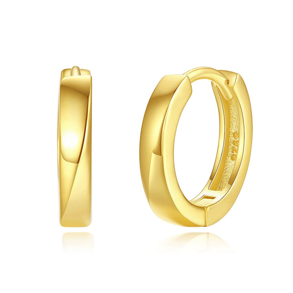 Wholesale Highend Geometric Silver S925 Electroplated Hoop Earrings
