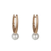 Wholesale Imitation Pearl Geometric Vintage Style Electroplated Earrings For Women