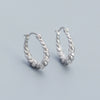 Wholesale Ins Style Ushaped S925 Silver Electroplated Micro Inlay Women's Earrings