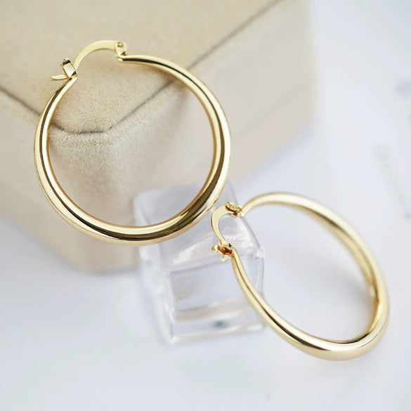 Wholesale Iron Geometric Big Circle Earrings Electroplated Punk Fashion Accessories
