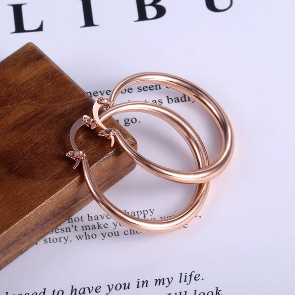 Wholesale Iron Geometric Big Circle Earrings Electroplated Punk Fashion Accessories