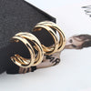 Wholesale Irregular Semi Circular Metal Earrings Ear Accessories Trendy Elegant All Match