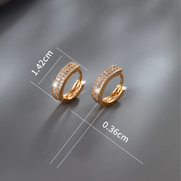 Wholesale Jewelry Copper Alloy Geometric Style Microinlaid Zirconium Doublerow Drill Circle Earrings For Women