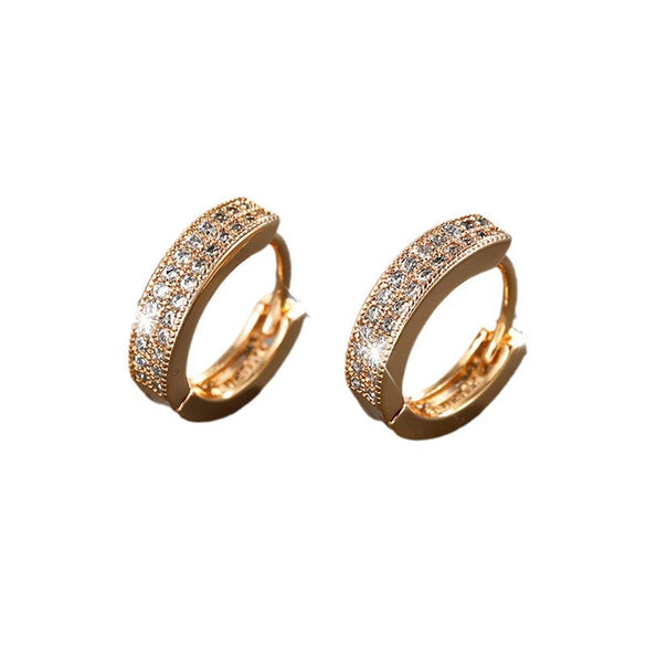 Wholesale Jewelry Copper Alloy Geometric Style Microinlaid Zirconium Doublerow Drill Circle Earrings For Women
