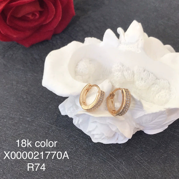 Wholesale Jewelry Copper Alloy Geometric Style Microinlaid Zirconium Doublerow Drill Circle Earrings For Women