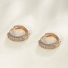 Wholesale Jewelry Geometric Copper Alloy Electroplated Women's Earrings