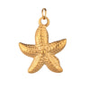 Wholesale Jewelry Geometric Titanium Steel And Stainless Steel Starfish Shell Pendant Electroplated With Color Preservation
