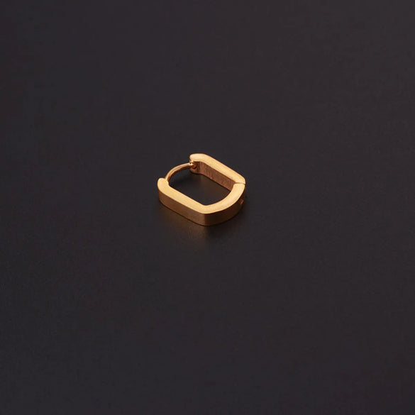 Ear Cartilage Rings & Studs Fashion Geometric 316 Stainless Steel  Plating