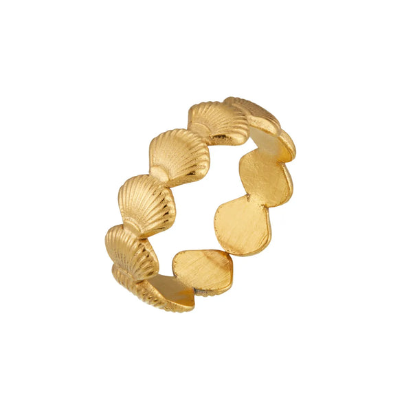 Wholesale Jewelry Marine Style Beach Simple Style Starfish Shell 304 Stainless Steel Open Rings