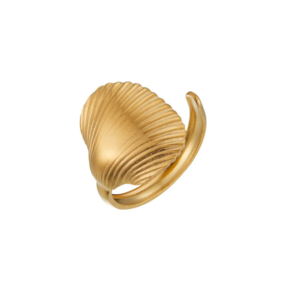 Wholesale Jewelry Marine Style Beach Simple Style Starfish Shell 304 Stainless Steel Open Rings