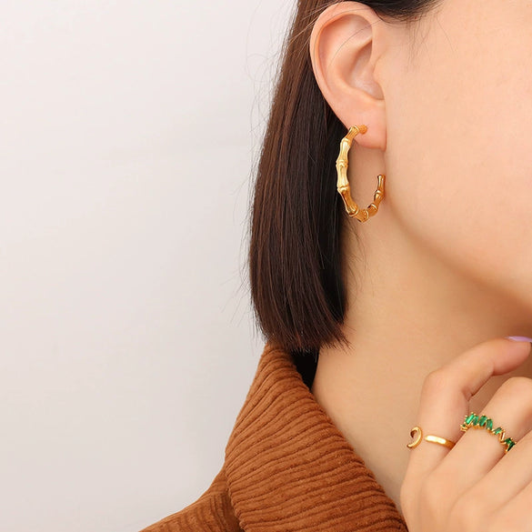 Wholesale Jewelry Simple Style Ctype Titanium Steel Earrings