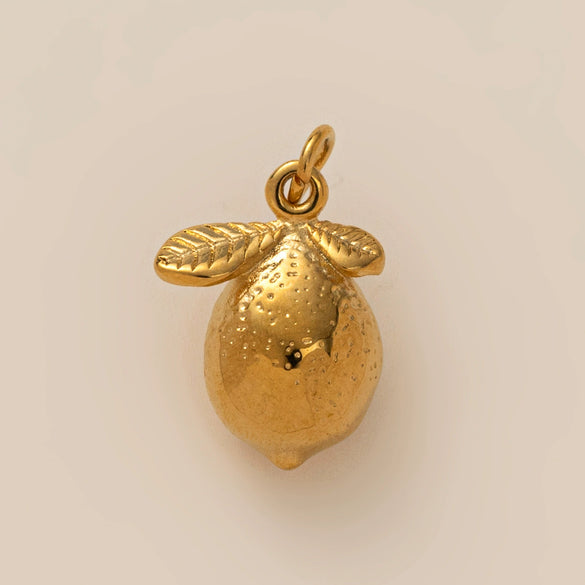Wholesale Jewelry Stainless Steel Fruit Pattern Electroplated Pendant Necklace