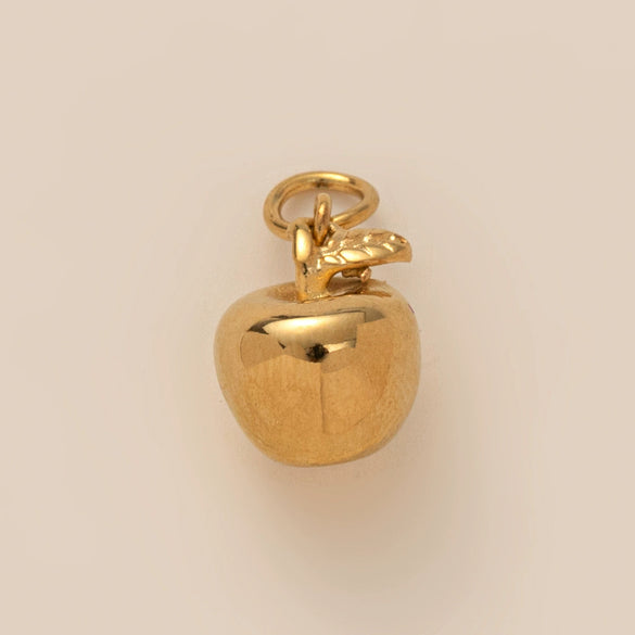 Wholesale Jewelry Stainless Steel Fruit Pattern Electroplated Pendant Necklace