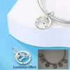 Wholesale Jewelry 925 Sterling Silver Dripping Oil Twelve Constellations Pendant