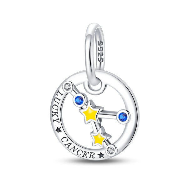Wholesale Jewelry 925 Sterling Silver Dripping Oil Twelve Constellations Pendant