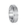 Wholesale Jewelry Titanium Steel Geometric Rotatable Couple's Frosted Ring Electroplated