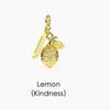Wholesale Jewelry Tropical Fruit Geometric Pendant Necklace And Bracelet Copper Titanium Steel Electroplating Handmade