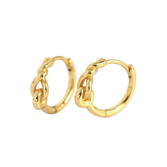 Wholesale Light Luxury Retro Geometric S925 Silver Electroplated Wind Winding Earrings