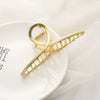 Wholesale Metal Alloy Casual Geometric Style Electroplated Large Shark Clip For Women