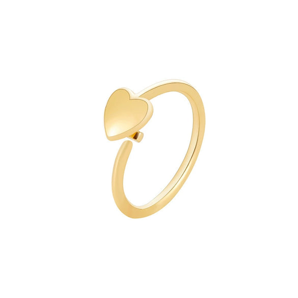 Wholesale Metal Animal Geometric Ear Clip With Electroplating For Women