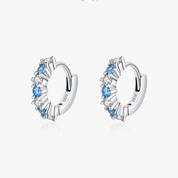 Wholesale Niche Geometric S925 Sterling Silver Inlaid Zircon Earrings For Women