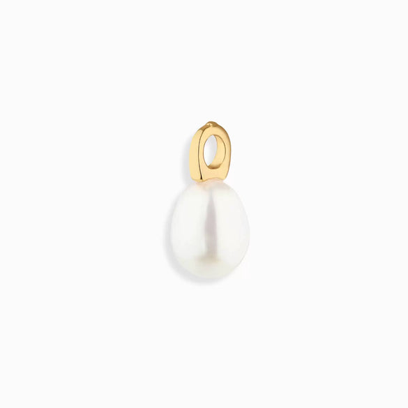 Wholesale Pendant Conch Fish Style Copper 18K Gold Color Furnace Vacuum Plating