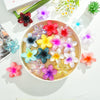 Wholesale Plastic Resin Little Fresh Egg Flower Style Baking Paint Women's Hair Clip Three Piece Set