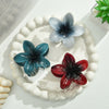 Wholesale Plastic Resin Little Fresh Egg Flower Style Baking Paint Women's Hair Clip Three Piece Set