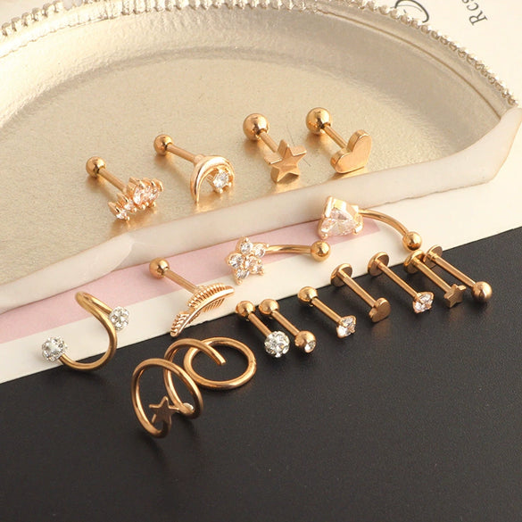 Wholesale Puncture Jewelry Stainless Steel Leaves Style Earrings Ear Clip Ear Nail Cartilage Set
