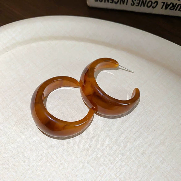 Wholesale Resin And Plastic Retro Ushaped Electroplated Earrings For Women