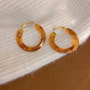 Wholesale Resin And Plastic Retro Ushaped Electroplated Earrings For Women