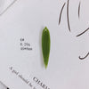 Wholesale Resin Jewelry Accessories With Simulation Flower Petals And Leaves For Diy Earrings Environmentally Protected