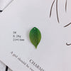 Wholesale Resin Jewelry Accessories With Simulation Flower Petals And Leaves For Diy Earrings Environmentally Protected