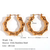 Wholesale Retro Titanium Steel U Shaped Exaggerated Hoop Earrings For Women 18K Gold Plated Stainless Steel And Acrylic Geometric Style Electroplated