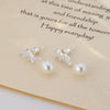 Wholesale S225 Imitation Pearl Leaf Geometric Style Electroplated Inlaid Zircon Earrings For Women